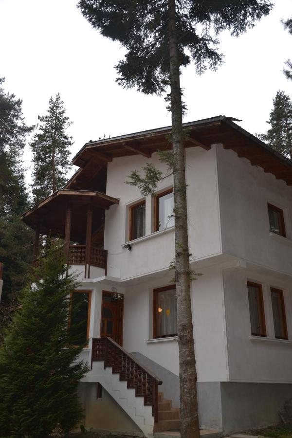 Вила Пенчеви, Кк. Цигов Чарк Exterior photo
